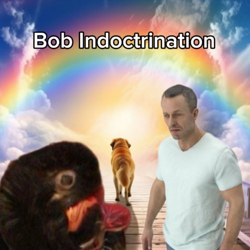 This/Is Bob Indoctrination
