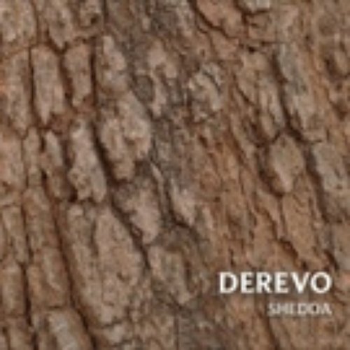 Derevo