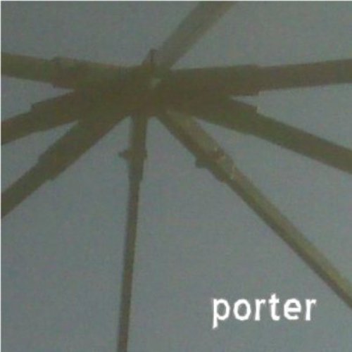 porter (2001)
