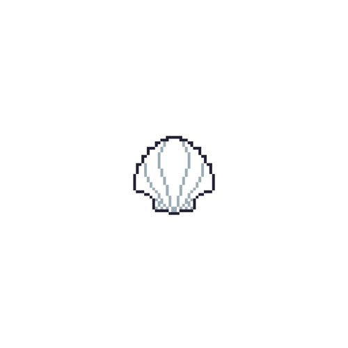 Seashells