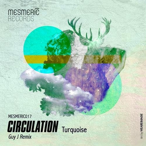 Turquoise (Guy J Remix)