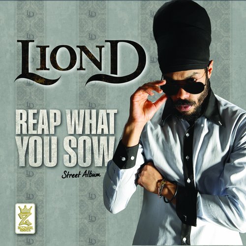 Reap What You Sow (Street Album)