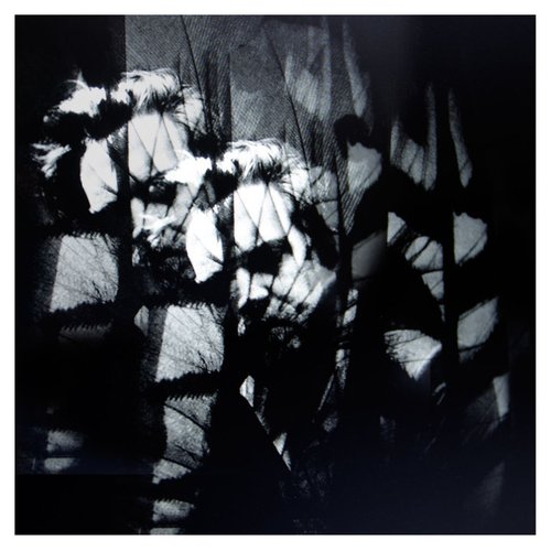 Walk Alone (Remix EP)