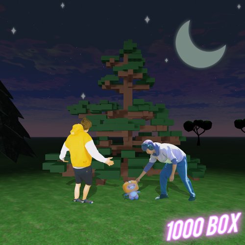 1000 box