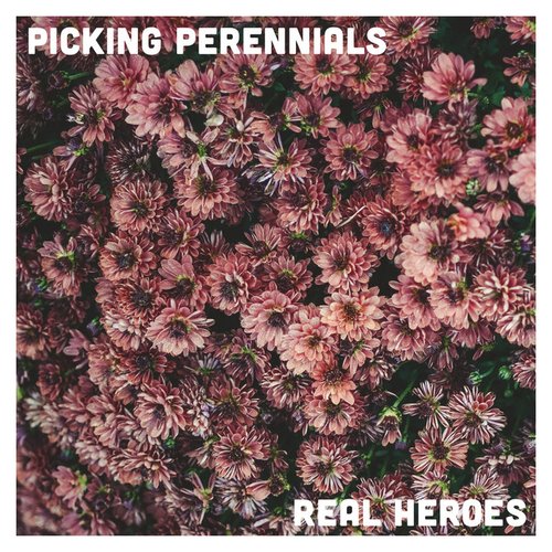 Picking Perennials