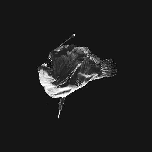 Deep Ocean