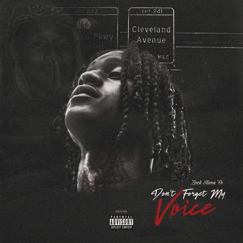 Don’t Forget My Voice