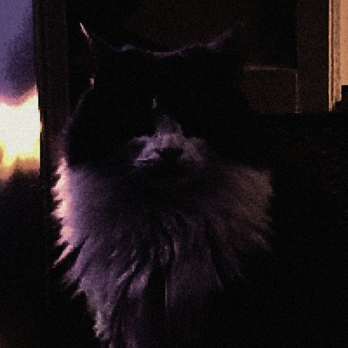 A Tribute to My Cat - Single