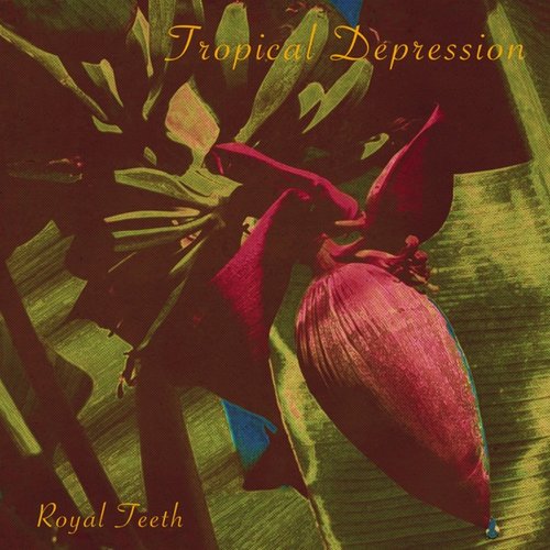 Tropical Depression - Single
