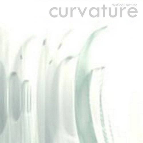 Curvature