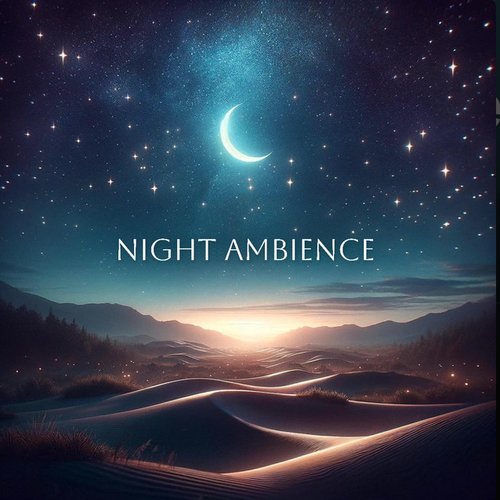 Night Ambience