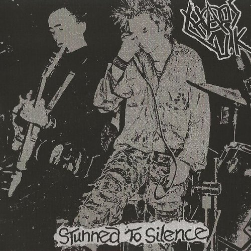 Stunned To Silence
