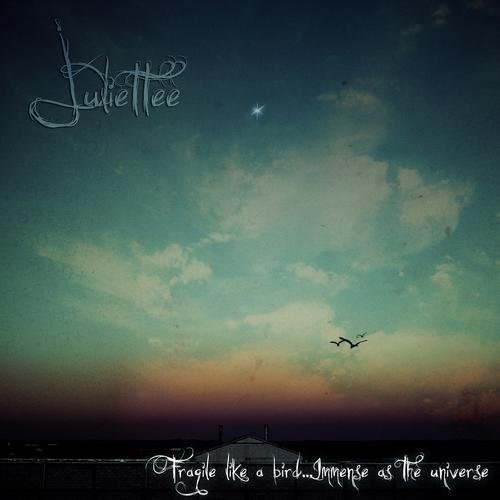 Fragile like a bird...Immense as the universe