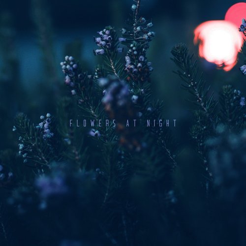 Flowers at night - Single