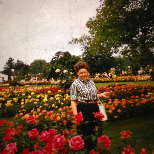 Perennial EP