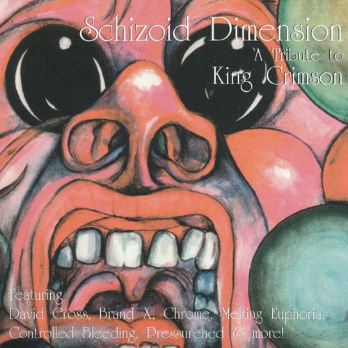 A Tribute To King Crimson