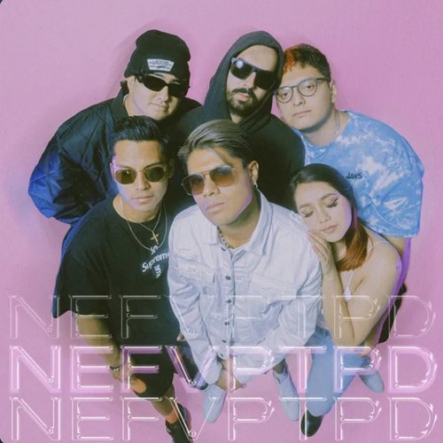NEFVPTPD