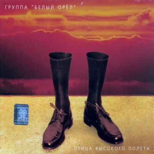 Птица высокого полета