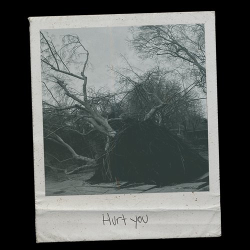 Hurt You - Single