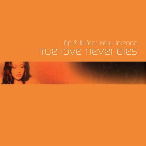 True Love Never Dies (feat. Kelly Llorenna)