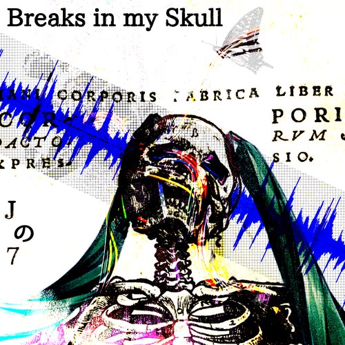 Breaks in my Skull