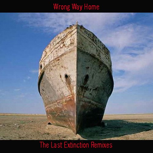 The Last Extinction Remixes