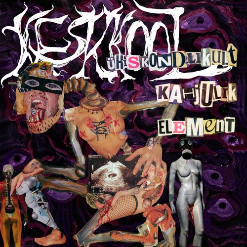 Ühiskondlikult kahjulik element