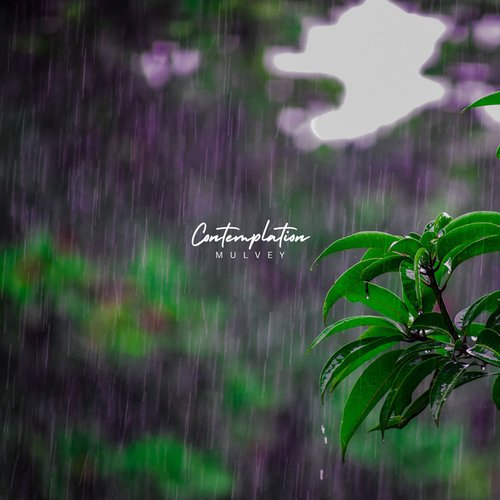 Contemplation