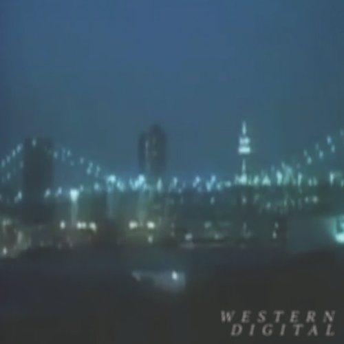 Ｗａｓｔｅｄ Ｄｉｇｉｔａｌ