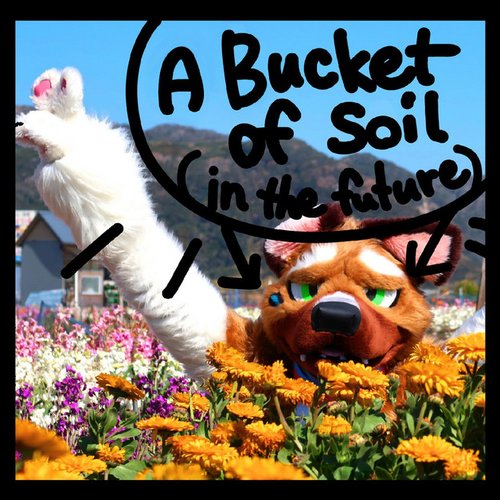 A Bucket of Soil (In the Future)