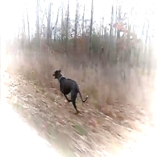 don't hold it all in! - Single