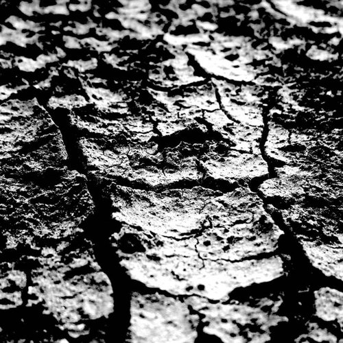 +37.717364 // -117.247955: ​The Last Place I Remember