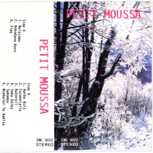Petit Moussa