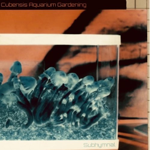 Cubensis Aquarium Gardening