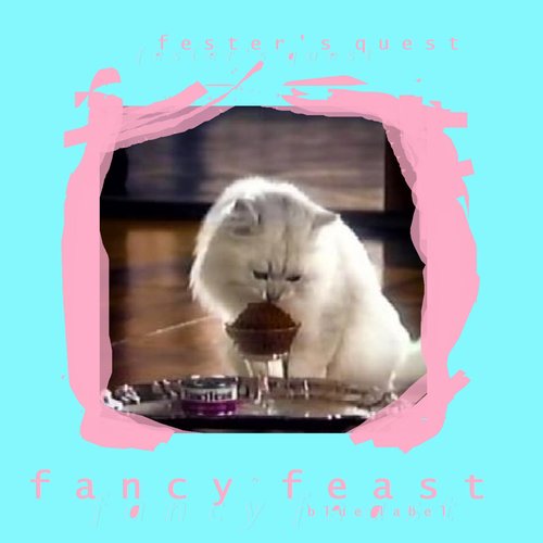 F a n c y F e a s t ⁽ᵇˡᵘᵉ ˡᵃᵇᵉˡ⁾