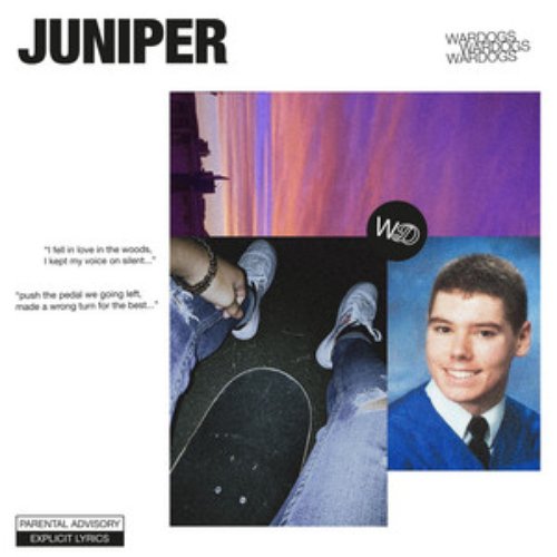 Juniper - Single