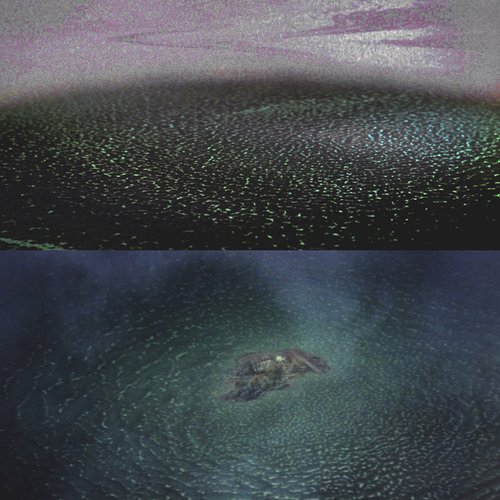 Siluetas en el agua