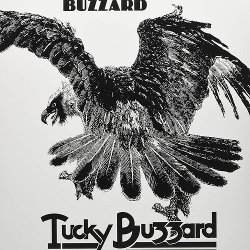 Buzzard