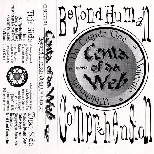 Beyond Human Comprehension