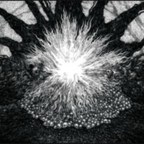 Sonic Desterilization Of Light