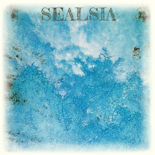 The Kingdom Of Sealsia