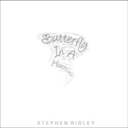Butterfly In A Hurricane