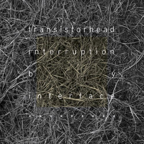 Interruption by Interface