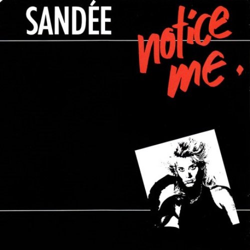 Notice Me