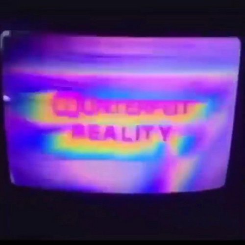Vivid Reality
