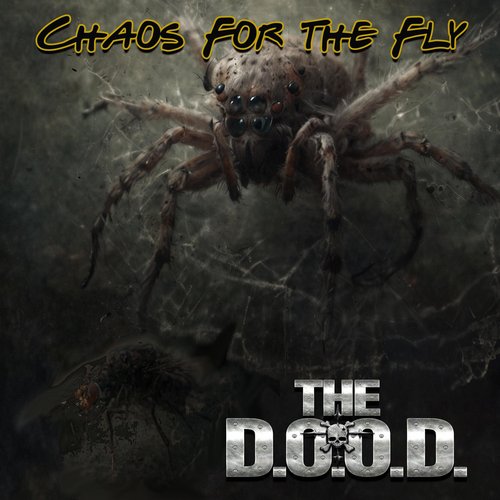 Chaos For the Fly - Single