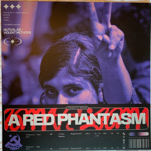 A Red Phantasm