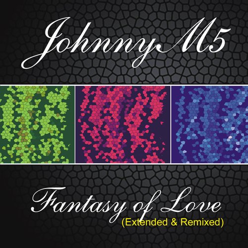 Fantasy of Love (Extended & Remixed)