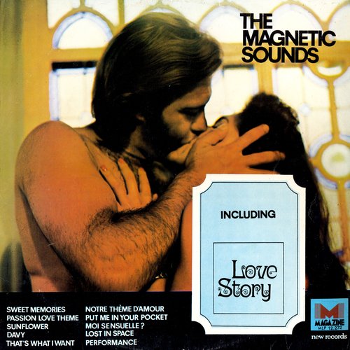 The Magnetic Sounds