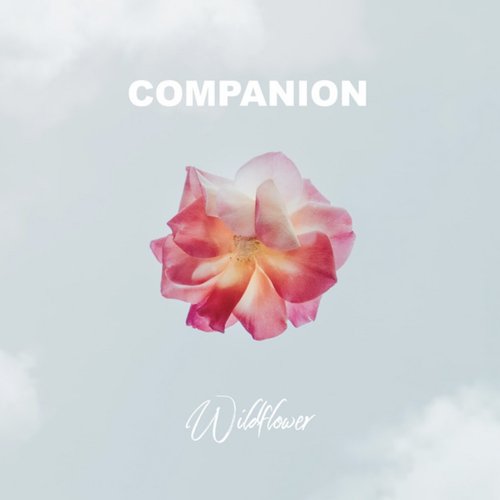Wildflower